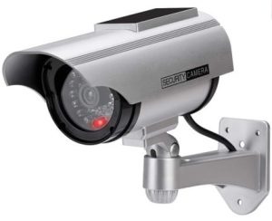 camara1